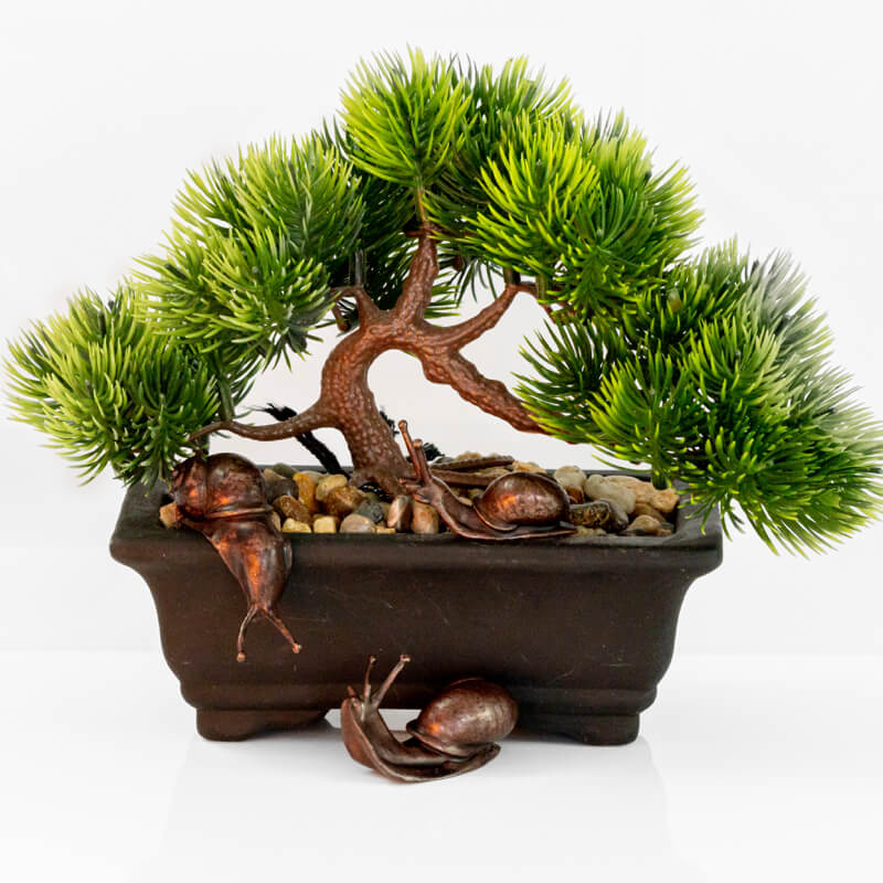 Bonsai Bronze Snail over the Edge