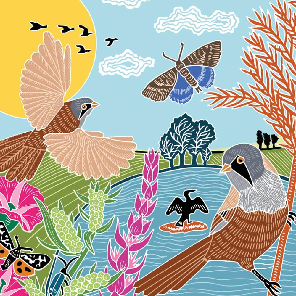 Bearded Tits & Cormorant Card | Red Lobster Gallery