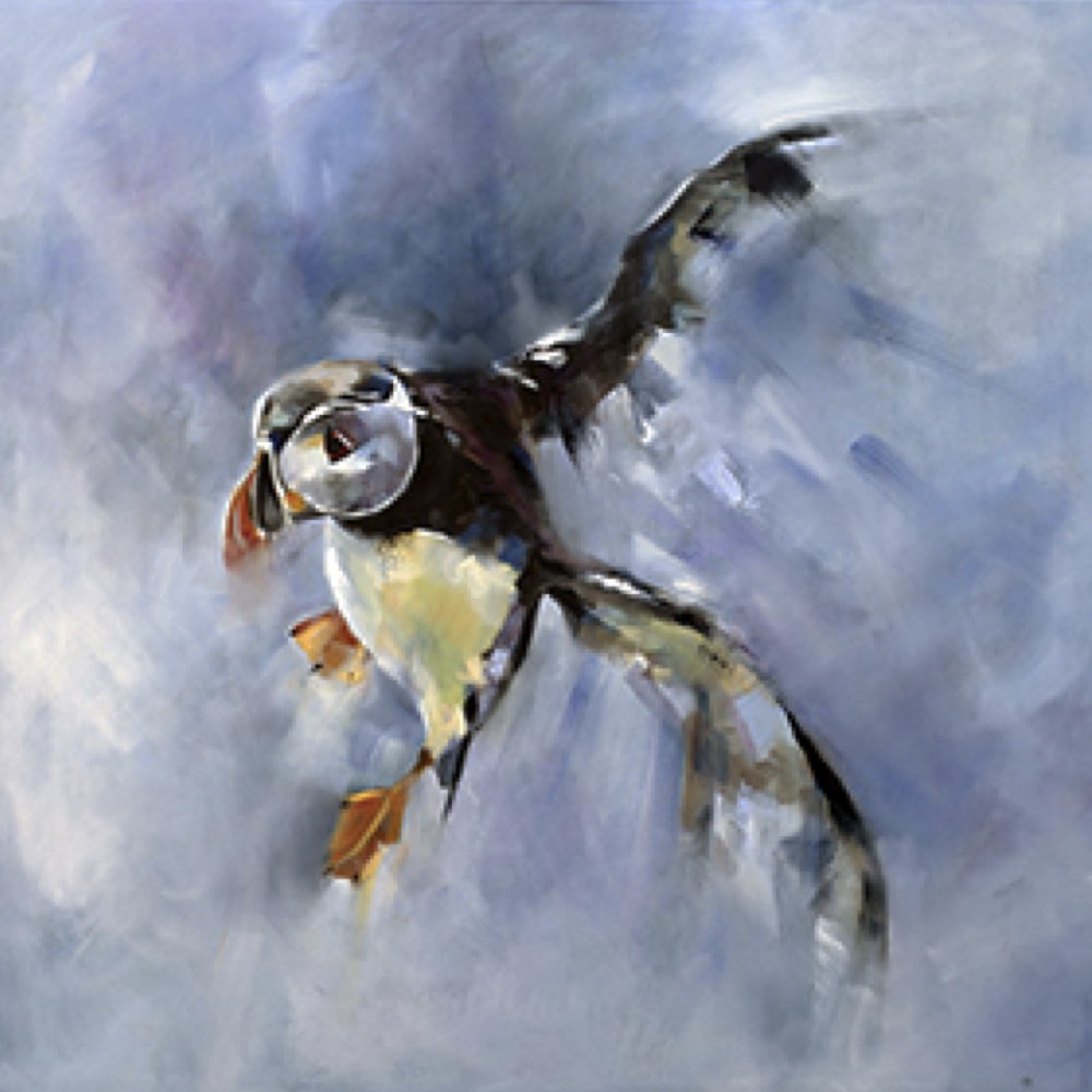 Puffin Landing | Framed Print