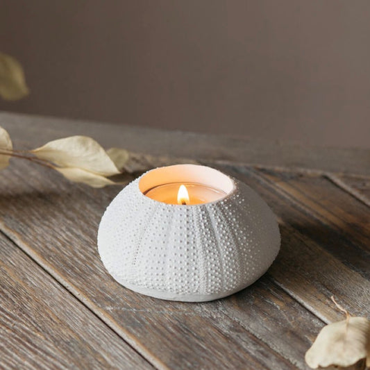White Sea Urchin Candleholder | Red Lobster Gallery 