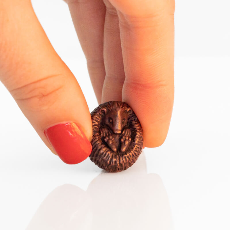 Bonsai Hedgehog Curled | Red Lobster Gallery | Sheringham