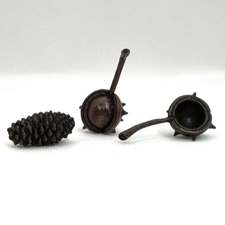 Conker in Shell | Bonsai Bronze