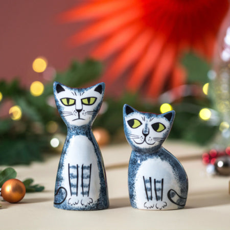 Cat Salt Pepper | Grey