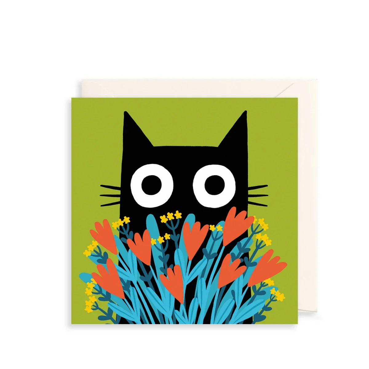 Animal Cards