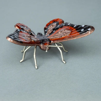 Orange & Black Butterfly | Large 19cm | Red Lobster Gallery