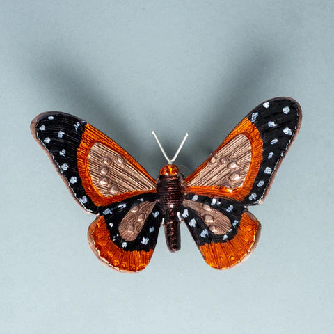 Orange & Black Butterfly | Large 19cm | Red Lobster Gallery