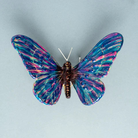 Purple Rainbow Butterfly | Red Lobster Gallery