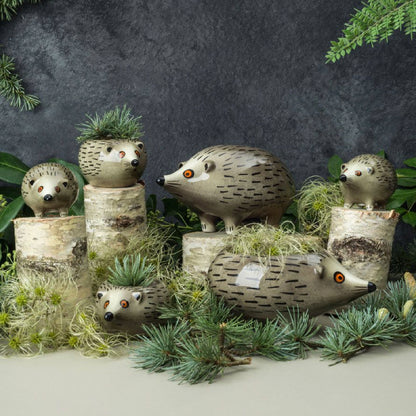 Hedgehog Collection by Hannah Turner Ceramics | Red Lobster Gallery | Sheringham 