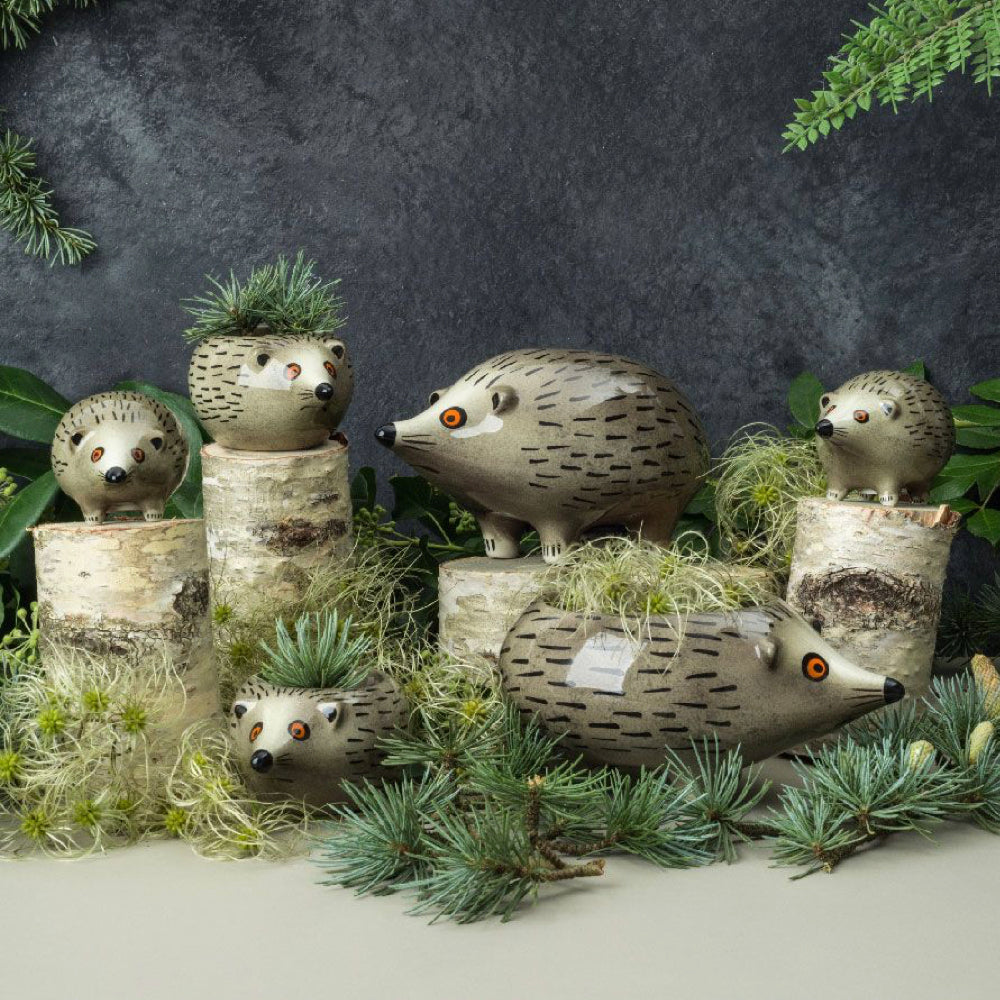 Hedgehog Collection by Hannah Turner Ceramics | Red Lobster Gallery | Sheringham