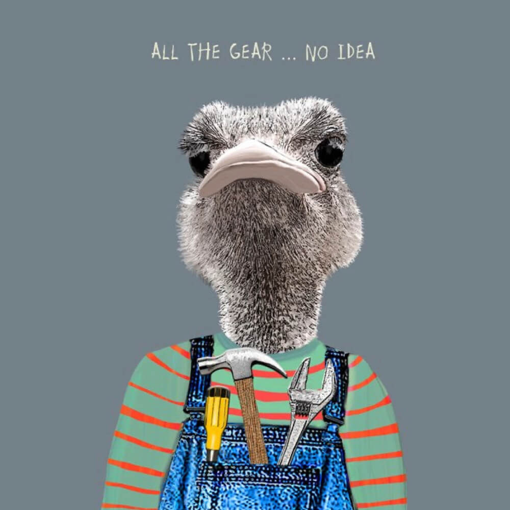 "All the Gear... No Idea" Card