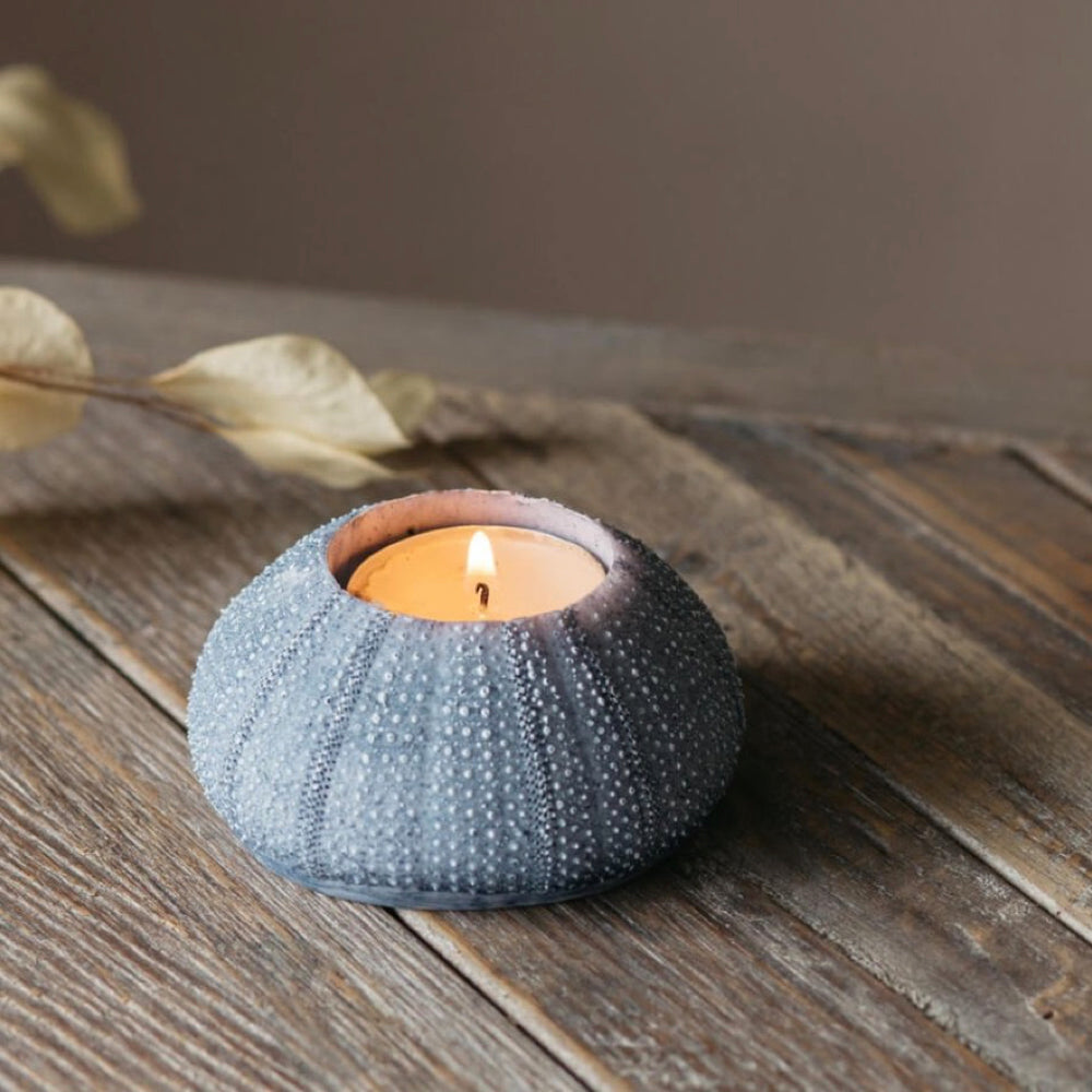 Sea Urchin Candleholder