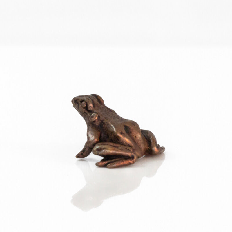 Bonsai Bronze Sitting Frog