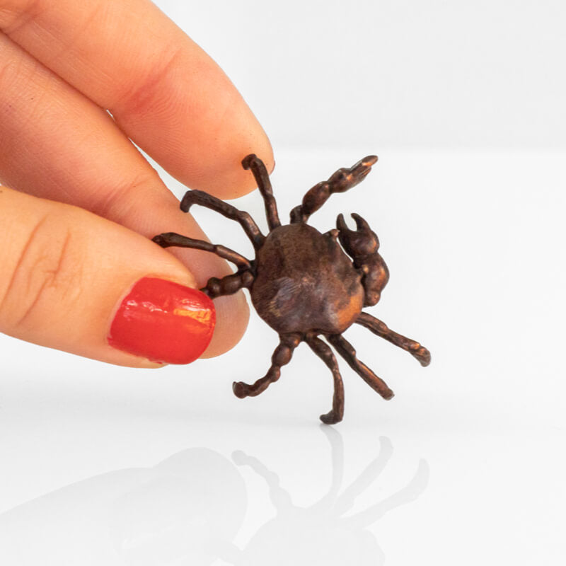Bronze crab