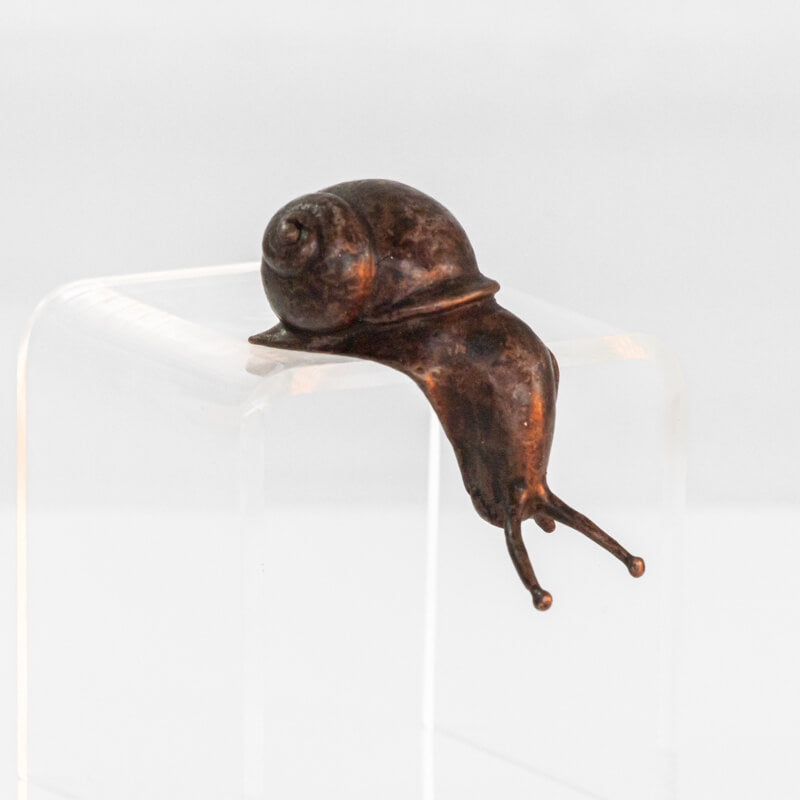 Bonsai Bronze Snail over the Edge