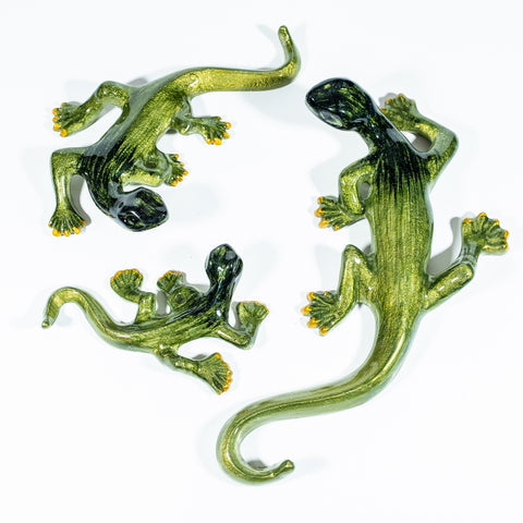 Brushed Green Gecko