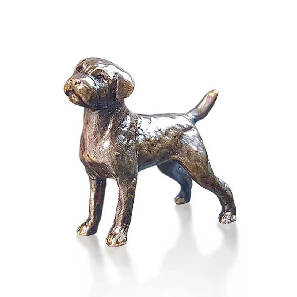 Miniature Border Terrier