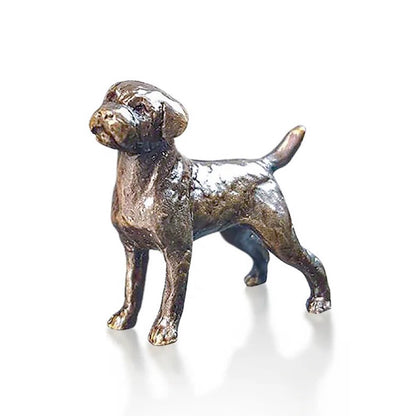 Miniature Border Terrier