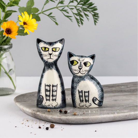 Cat Salt Pepper | Grey