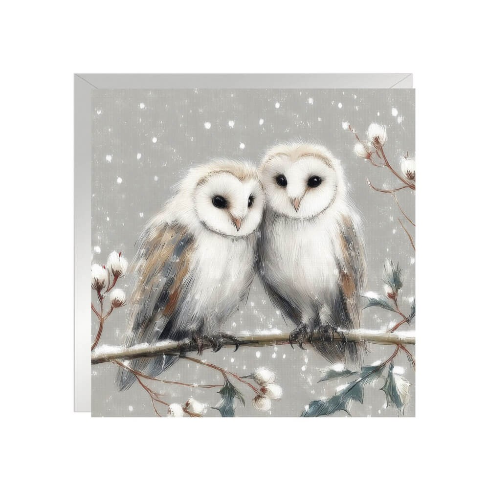 Twit Twoo | Pack of 6 Charity Christmas Cards