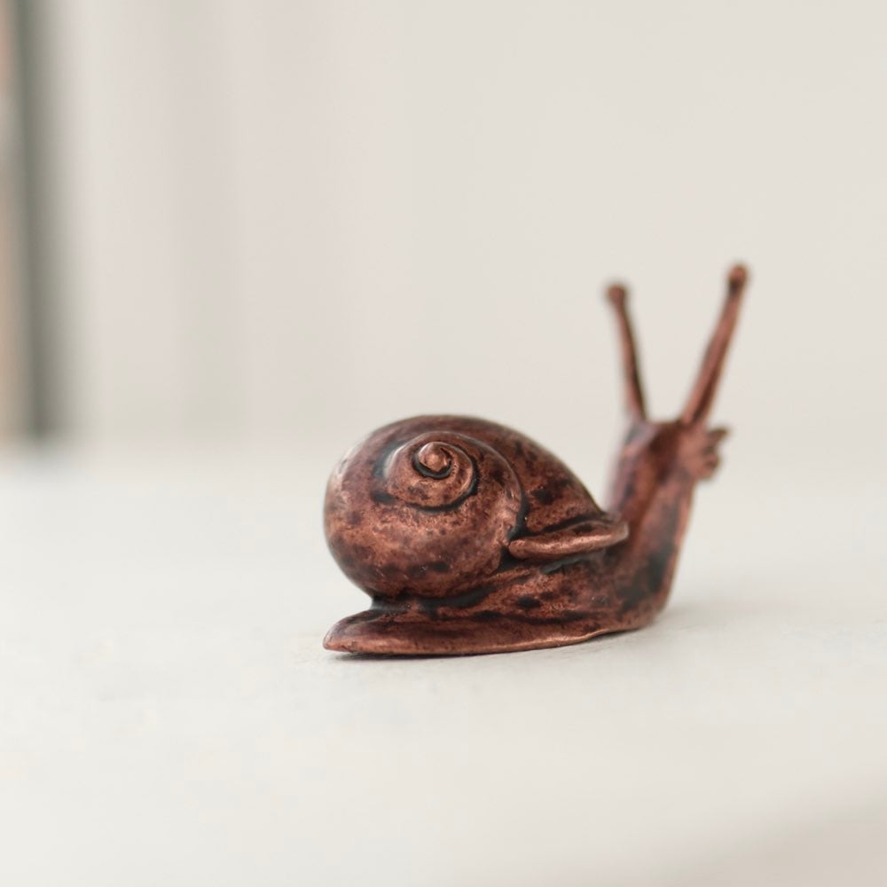 Bonsai Bronze Large Snail