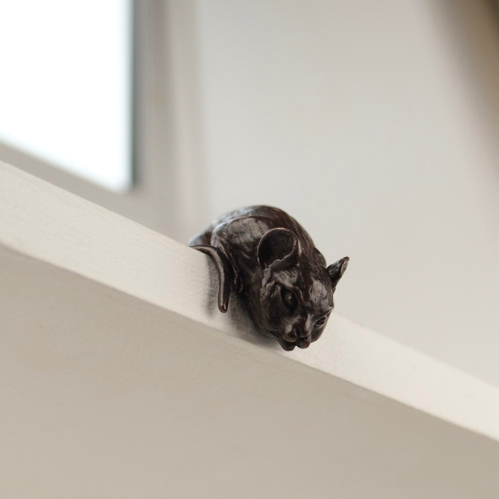 Bronze Mouse Over Edge