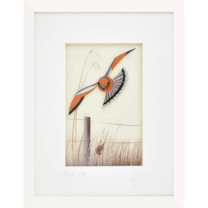 Eagle Eye | Framed Print
