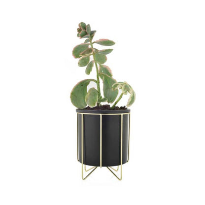Black Plant Stand | Large