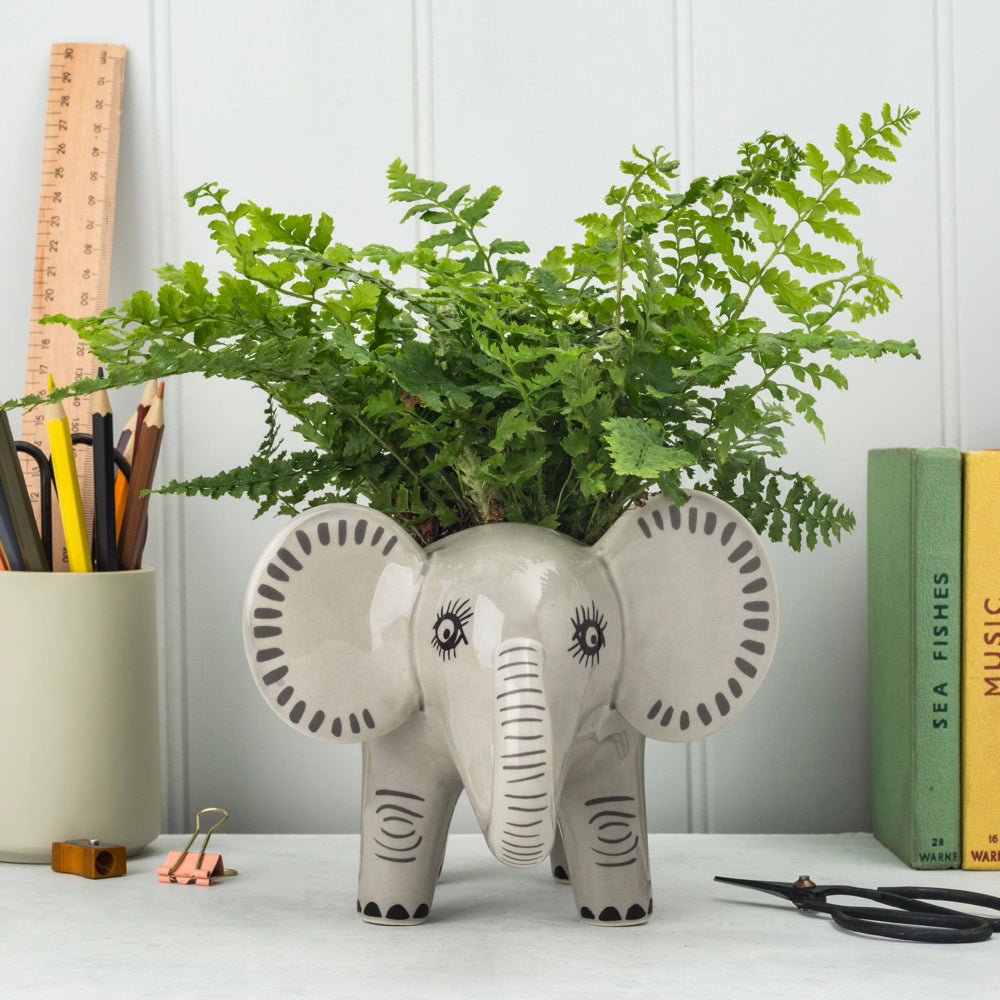 Elephant Planter by Hannah Turner Ceramics | Red Lobster Gallery | Sheringham