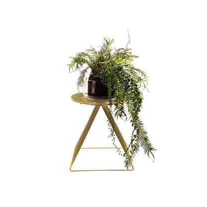Fern in Glass Pot | CLICK AND COLLECT ONLY