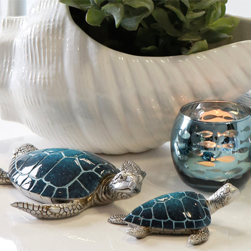 Flossy Blue Turtles