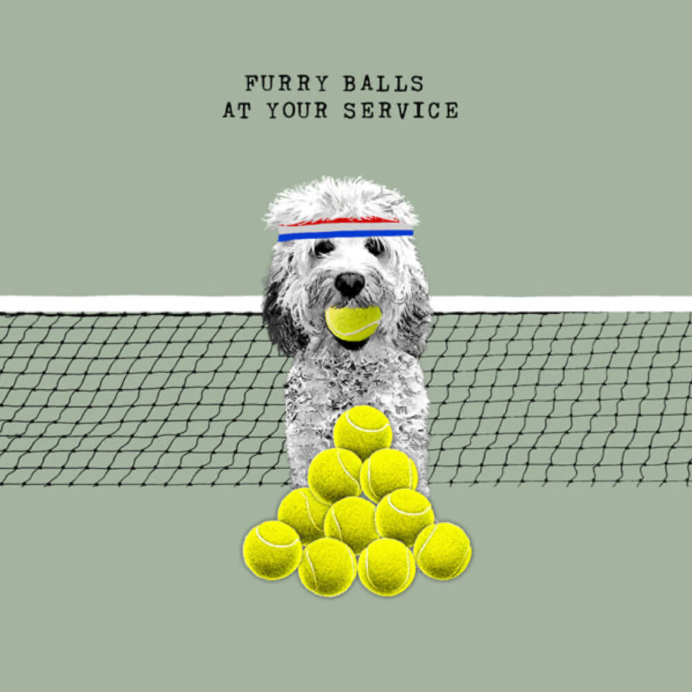 "Furry Balls at Your Service"