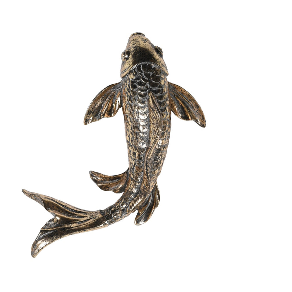 Gold Carp