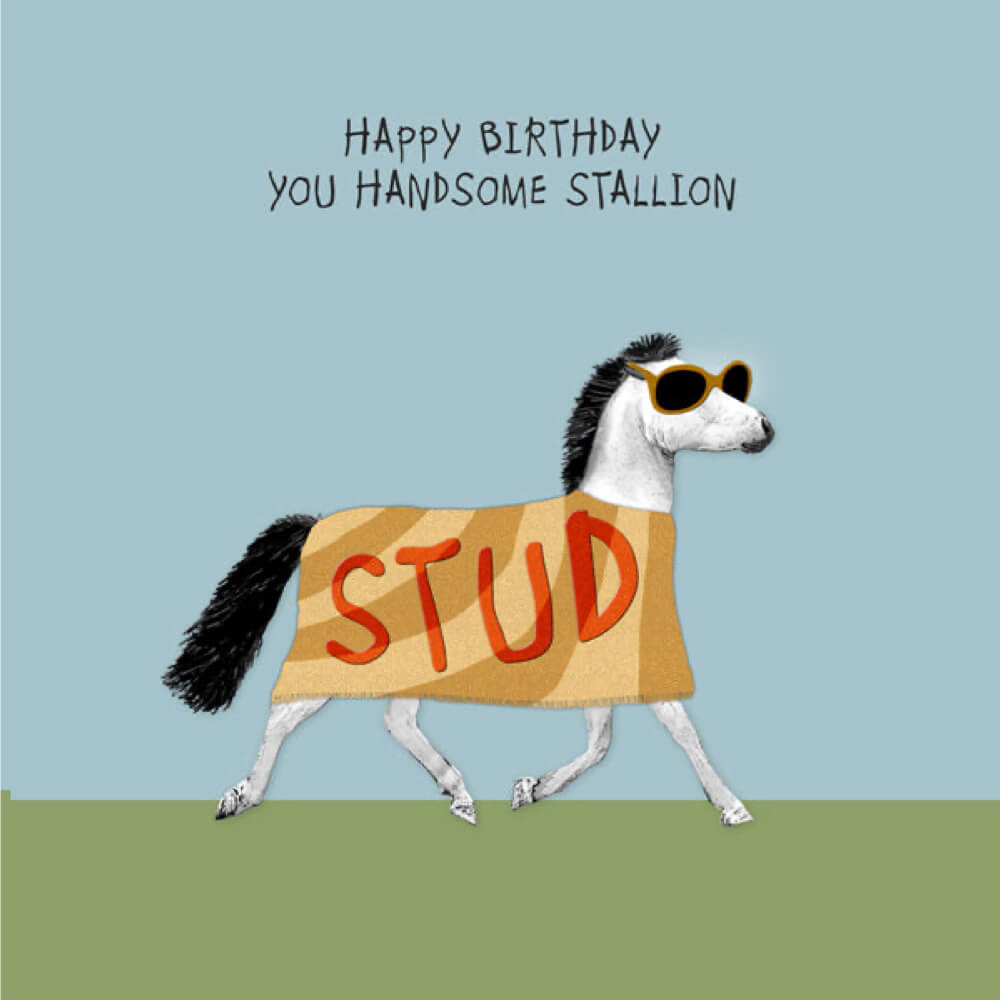 Happy Birthday, Handsome Stallion Card