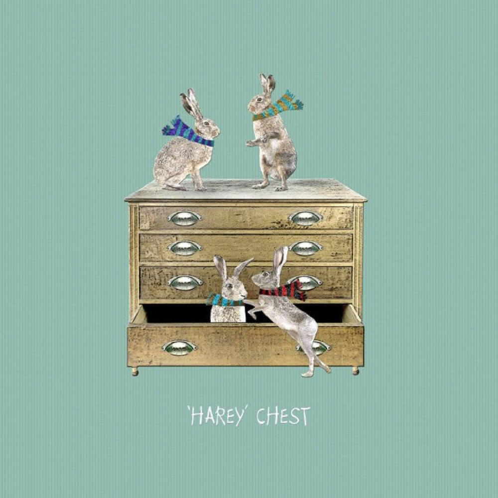 Harey Chest | Card