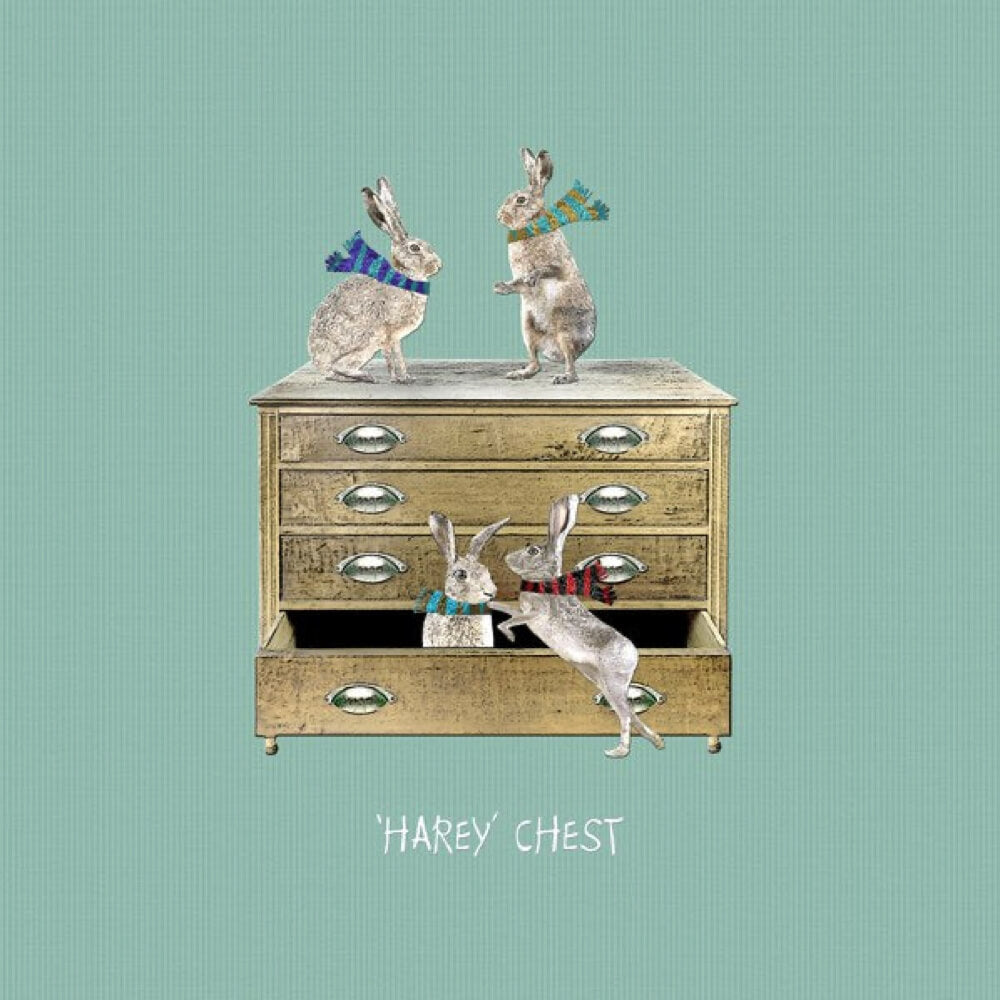 "Harey Chest"