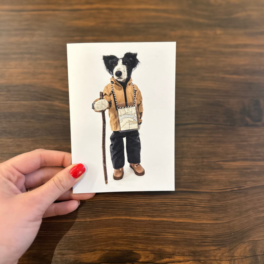 Alex | Dog Card | Red Lobster Gallery