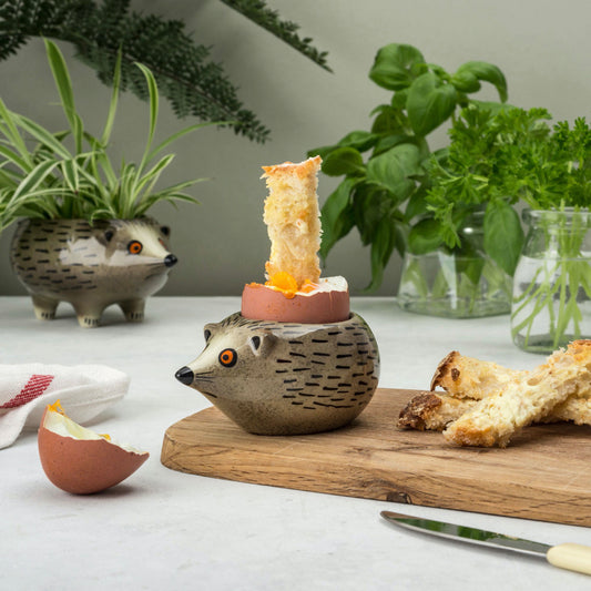 Hedgehog Egg Cup by Hannah Turner Ceramics | Red Lobster Gallery | Sheringham