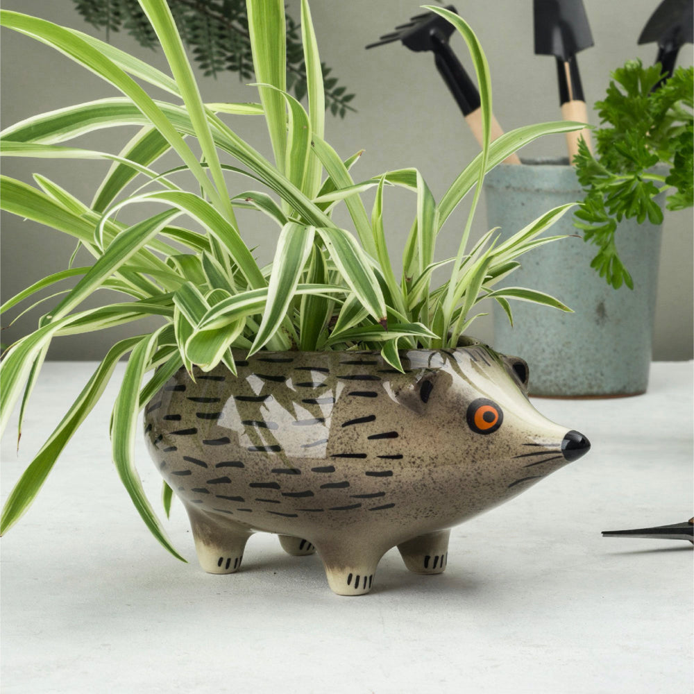 Hedgehog Planter by Hannah Turner Ceramics | Red Lobster Gallery | Sheringham