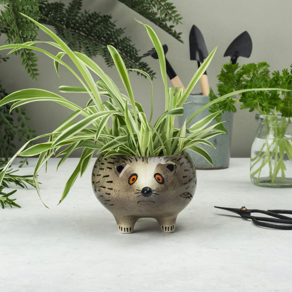 Hedgehog Planter by Hannah Turner Ceramics | Red Lobster Gallery | Sheringham
