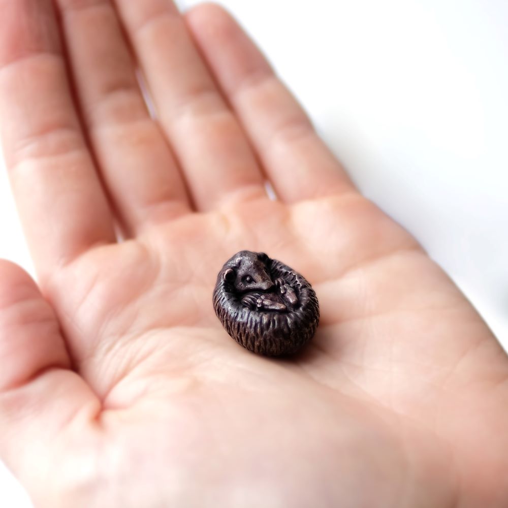 Curled Hedgehog | Bonsai Bronze