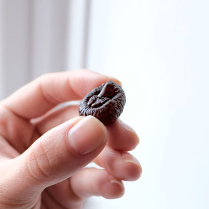 Curled Hedgehog | Bonsai Bronze
