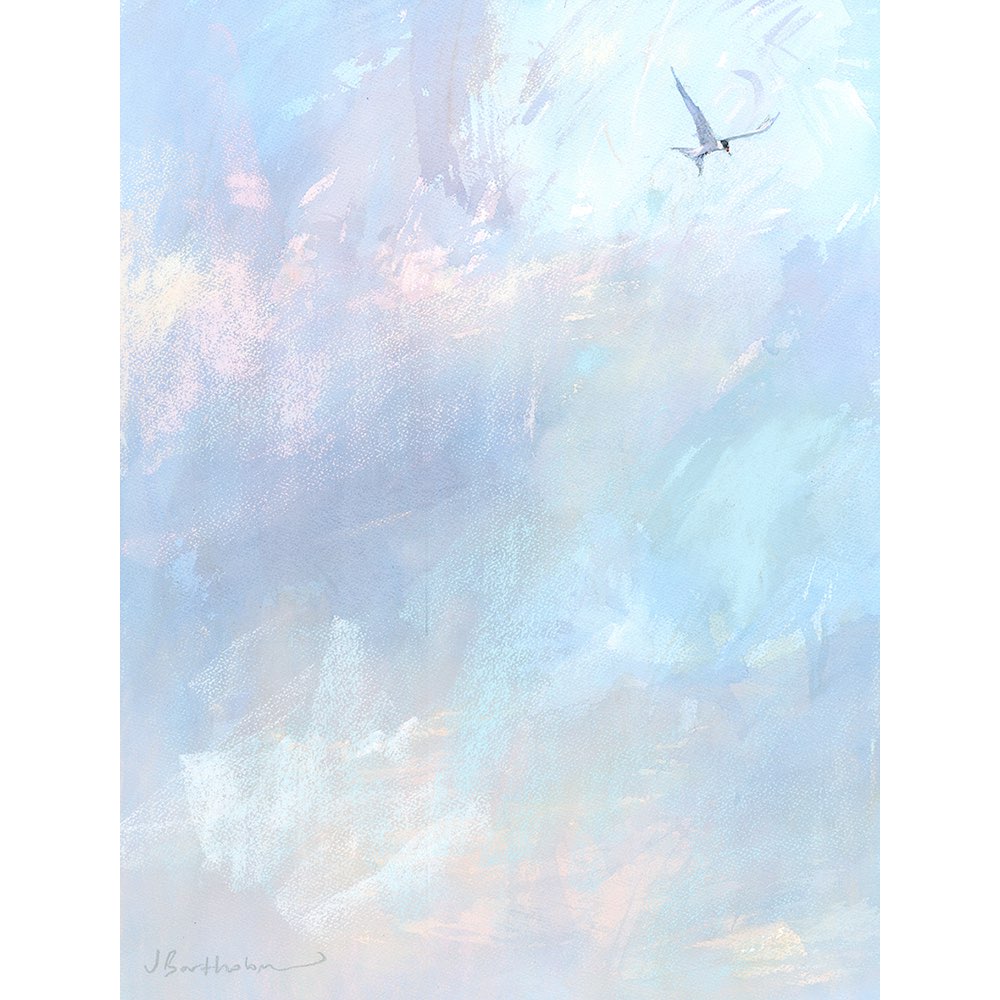 Tern & Approaching Storm | Limited Edition Print by James Bartholomew RSMA | Red Lobster Gallery
