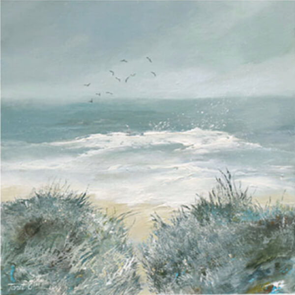 Looking Out | Framed Print by Janet Gammans