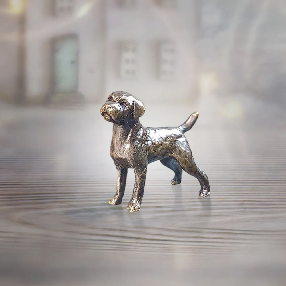 Miniature Border Terrier