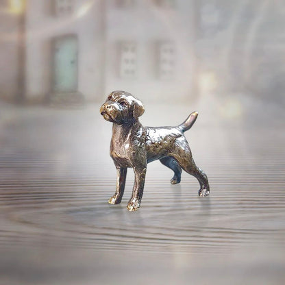 Miniature Border Terrier