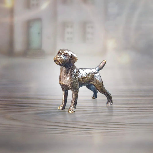 Miniature Border Terrier