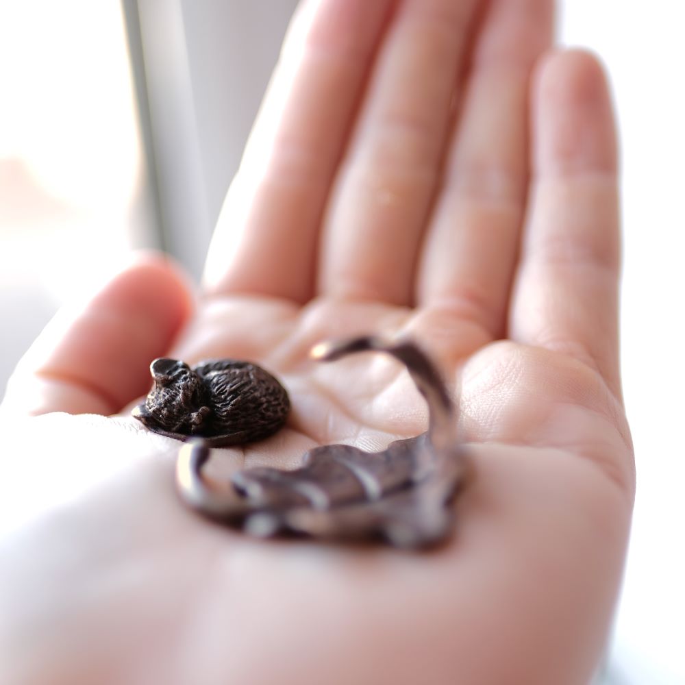 Bonsai Bronze Sleeping Mouse On Leaf