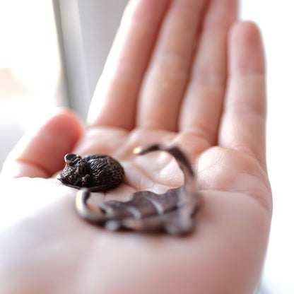 Bonsai Bronze Sleeping Mouse On Leaf