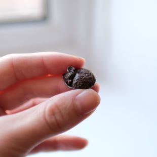 Bonsai Bronze Sleeping Mouse On Leaf