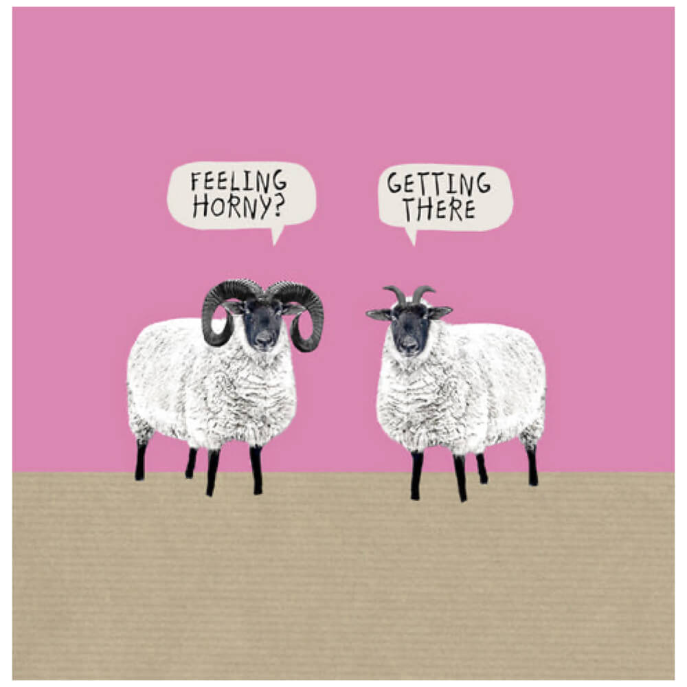 Feeling Horny |Sally Scaffardi Card | Red Lobster Gallery | Sheringham